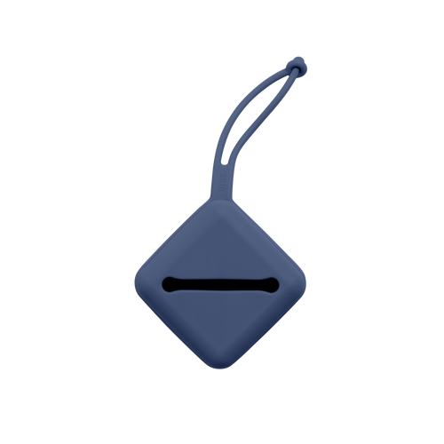 BIBS Paci Case Steel Blue